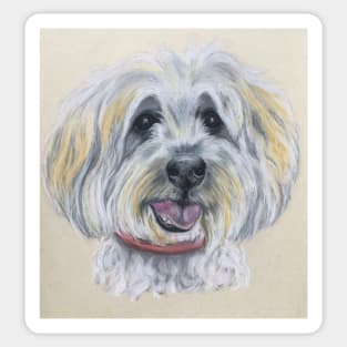 Tibetan Terrier Sticker